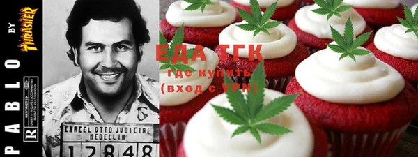 шишки Сатка