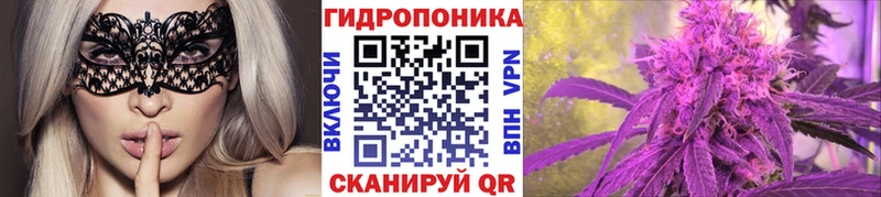 Шишки марихуана планчик  Камешково 